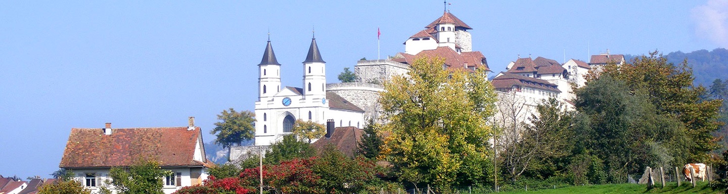 Blick auf die Festung Aarburg und die charakteristische doppeltürmige Kirche.