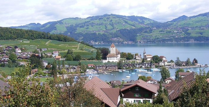 Blick auf das charmant von sattgrünen Weinbergen eingerahmte Dorf Spiez am Ufer des Thunersees.