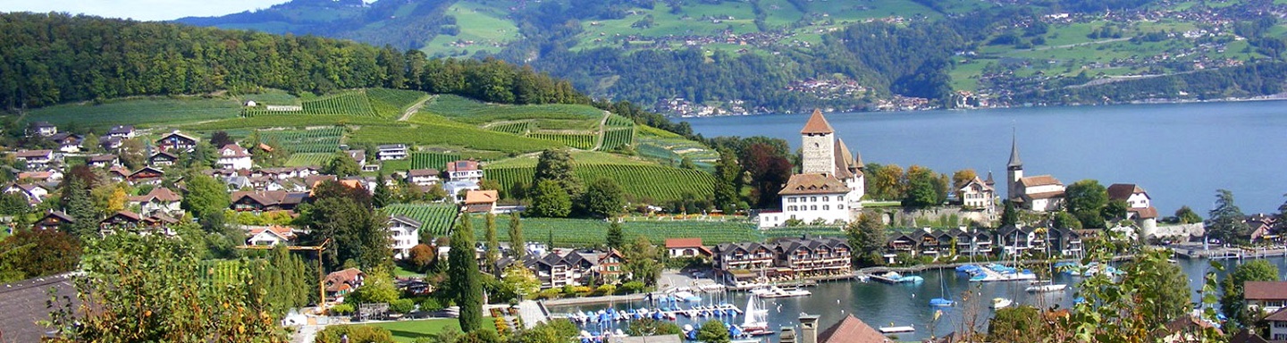 Blick auf das idyllisch von Weinbergen eingerahmte Örtchen Spiez am Thunersee.