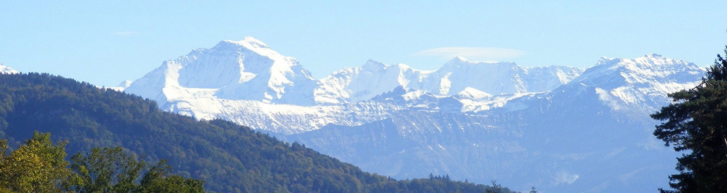 Atemberaubendes Alpenpanorama mit schneeweißen, von grünen Tannen eingerahmten Gipfeln