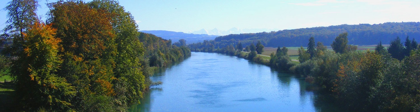 Blick auf die zwischen bewaldeten Ufern dahinfließende Aare, am Horizont eine schneebedeckte Bergkette.