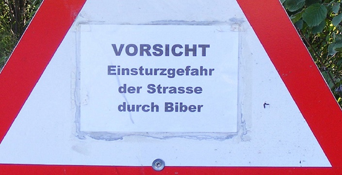 Dreieckiges, rot umrahmtes Schild, das vor Einsturzgefahr der Straße durch Biber warnt