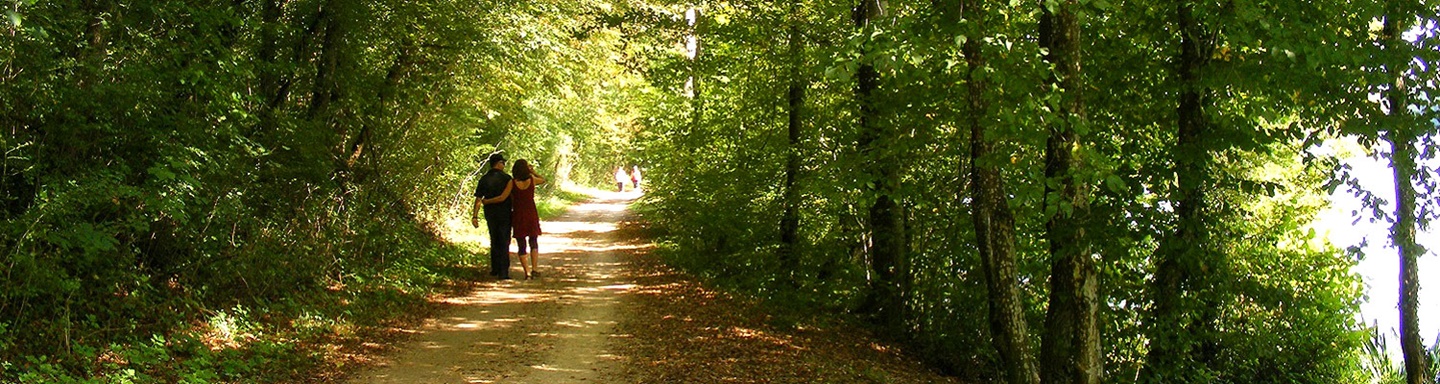 Spaziergänger auf einem bewaldeten Abschnitt des Aare-Radwegs.