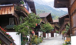 Typische Holzchalets mit Blumenschmuck im Dorf Brienz