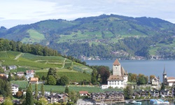 Blick auf das idyllisch am Ufer des Thunersees gelegene und von sattgrünen Weinbergen eingerahmte Spiez