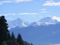 Idyllisches Bergpanorama mit grünen Tannen vor weißen Gipfeln