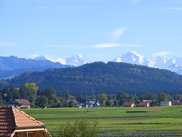 Blick über die fruchtbare, überwiegend von Landwirtschaft geprägte Aare-Ebene, im Hintergrund ein von schneebedeckten Alpengipfeln überragter Nadelwald