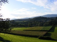 Blick auf das fruchtbare und tiefgrüne Schwemmland der Aare